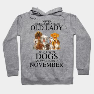 Never Underestimate An Old Lady Who Loves Dogs And Was Born In November Hoodie